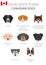 Dogs by country of origin. Canadian dog breeds. Infographic temp