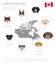 Dogs by country of origin. Canadian dog breeds. Infographic temp