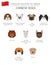 Dogs by country of origin. Chinese dog breeds. Infographic template
