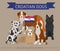Dogs by country of origin. Croatian dog breeds. Infographic temp