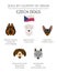 Dogs by country of origin. Czech dog breeds. Infographic template