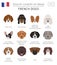 Dogs by country of origin. French dog breeds. Infographic template