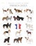 Dogs by country of origin. French dog breeds. Shepherds, hunting, herding, toy, working and service dogs  set