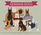 Dogs by country of origin. German dog breeds. Infographic template