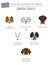 Dogs by country of origin. Greek dog breeds. Infographic template