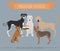 Dogs by country of origin. Indian dog breeds. Infographic template