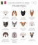 Dogs by country of origin. Italian dog breeds. Infographic template