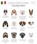 Dogs by country of origin. Italian dog breeds. Infographic template