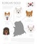 Dogs by country of origin. Korean dog breeds. Infographic template