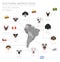 Dogs by country of origin. Latin american dog breeds. Infographic template