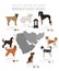 Dogs by country of origin. Middle East dog breeds. Shepherds, hunting, herding, toy, working and service dogs  set