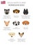 Dogs by country of origin. Norwegian dog breeds. Infographic template