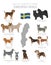 Dogs by country of origin. Sweden dog breeds. Shepherds, hunting, herding, toy, working and service dogs  set