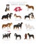 Dogs by country of origin. Swiss dog breeds. Shepherds, hunting, herding, toy, working and service dogs  set