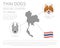 Dogs by country of origin. Thai dog breeds. Infographic template