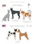 Dogs by country of origin. Thai and Malaysian dog breeds. Shepherds, hunting, herding, toy, working and service dogs  set