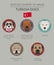 Dogs by country of origin. Turkish dog breeds. Infographic template