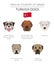 Dogs by country of origin. Turkish dog breeds. Infographic template