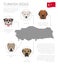 Dogs by country of origin. Turkish dog breeds. Infographic template