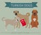 Dogs by country of origin. Turkish dog breeds. Infographic template