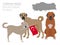 Dogs by country of origin. Turkish dog breeds. Infographic template