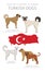 Dogs by country of origin. Turkish dog breeds. Shepherds, hunting, herding, toy, working and service dogs  set