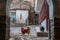 Dogs in a Courtyard in Cusco Peru