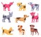 Dogs of Different Breeds Icons Vector Illustration