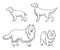 Dogs of different breeds in outlines set4 - vector illustration