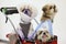 Dogs Dressed up in Pet stroller