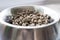 dogs dry food in stainless steel bowl. small portion for puppy