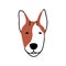 Dogs face avatar. Cute bull terrier doggy head. Canine animal portrait of adorable puppy snout. Purebred bullterrier pup