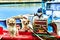 Dogs on fishing boat