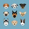 Dogs in flat style vector design illustration