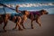 Dogs with harnesses walking on a sandy beach with the sea in the background
