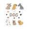 dogs icon set. hand drawn doodle. , cartoon, minimalism. pet, animal, cute, funny, bowl, food, ball, footprints, paws