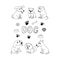 dogs icon set. hand drawn doodle. , scandinavian, nordic, minimalism, monochrome. pet, animal, cute, funny, bowl, food