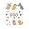 dogs icon set. hand drawn doodle. vector, cartoon, minimalism. pet, animal, cute, funny, bowl, food, ball, footprints