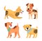 Dogs Images Collection on Vector Illustration