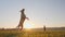 Dogs jumps and catches ball on the nature at sunset