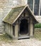 Dogs Kennel