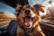 Dogs kids relax A Vacation time,travvel trip, funny Generative AI