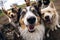 Dogs kids relax A Vacation time,travvel trip, funny Generative AI