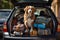 Dogs kids relax A Vacation time,travvel trip, funny Generative AI