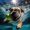 Dogs kids relax A Vacation time,travvel trip, funny Generative AI