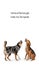 Dogs Looking Up Into Vertical Web Ad