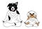 Dogs lotus pose yoga chakra, vector drawing hand drawn funny