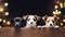 A dogs peeking over wooden edge. Web promotional banner for pet shop or vet clinic. Background with cute pets.