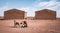 Dogs playing outside in front of two brown buildings.