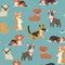 Dogs and puppies different breeds wrapping paper with husky, bulldog, schnuzer, spaniel vector seamless pattern